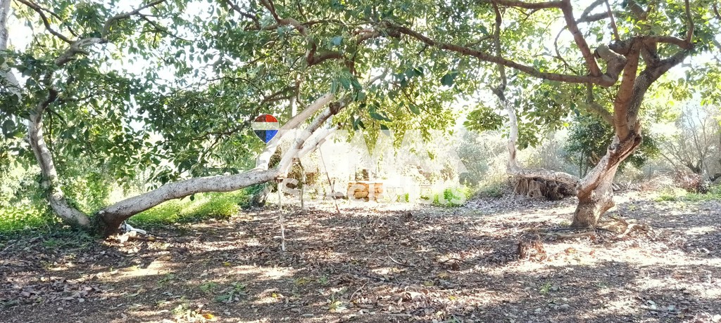 Οικόπεδο 2.820 τ.μ. προς πώληση, Αλικιανός