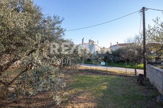 Οικόπεδο 381 τ.μ. για πώληση, Μαγνησία, Βόλος-thumb-18