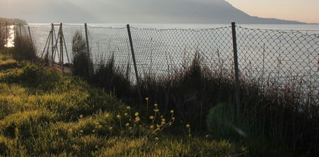 Οικόπεδο 5.500 τ.μ. πρός πώληση