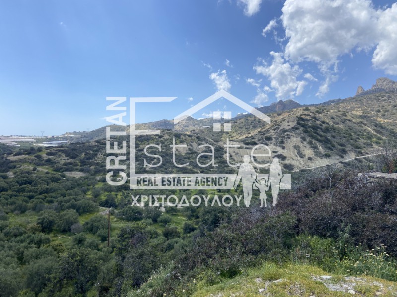 Αγροτεμάχια 12.000 τ.μ. πρός πώληση, Ν. Λασιθίου, Ιεράπετρα