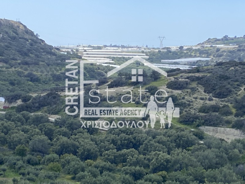 Αγροτεμάχια 12.000 τ.μ. πρός πώληση, Ν. Λασιθίου, Ιεράπετρα