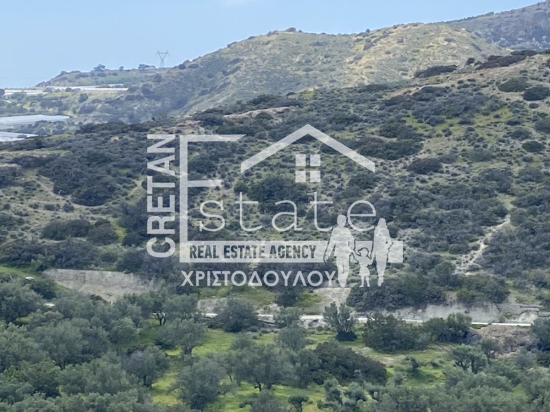 Αγροτεμάχια 12.000 τ.μ. πρός πώληση, Ν. Λασιθίου, Ιεράπετρα
