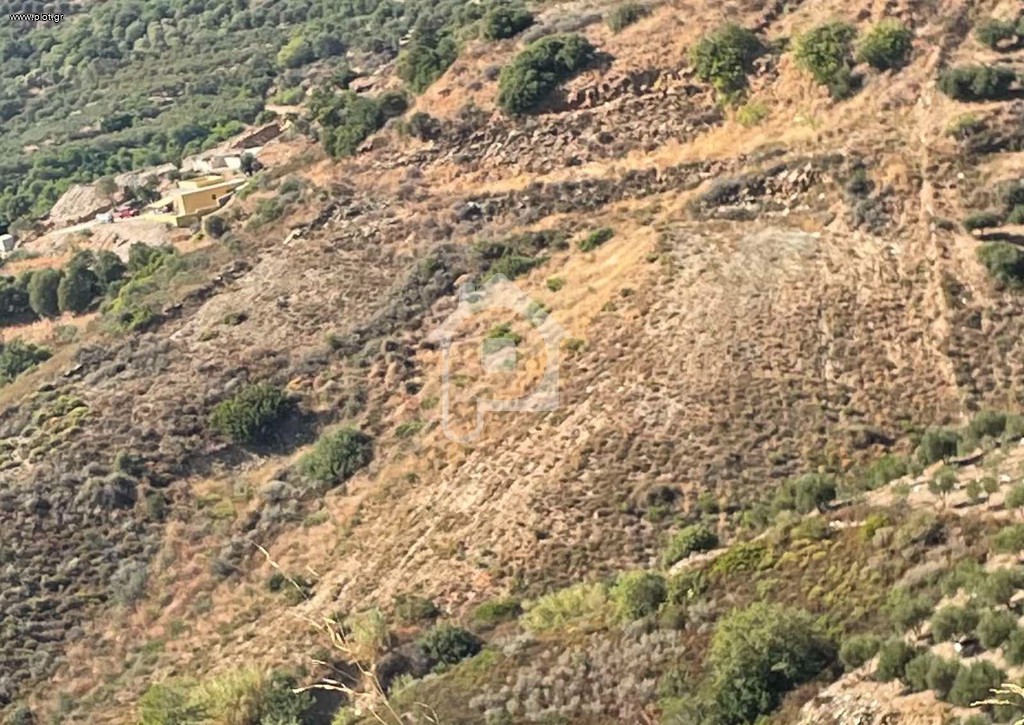 Αγροτεμάχια 10.222 τ.μ. για πώληση, Ν. Ρεθύμνου, Γεροπόταμος