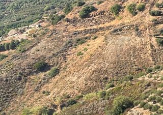 Αγροτεμάχια 10.222 τ.μ. για πώληση