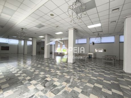Αίθουσα 535 τ.μ. προς ενοικίαση