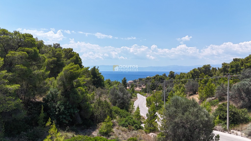 Οικόπεδο 331 τ.μ. προς πώληση, Βερβερούδα