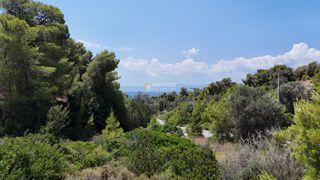 Οικόπεδο 331 τ.μ. για πώληση, Αργολίδα, Κρανίδι-thumb-2
