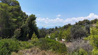 Οικόπεδο 331 τ.μ. για πώληση, Αργολίδα, Κρανίδι-thumb-23