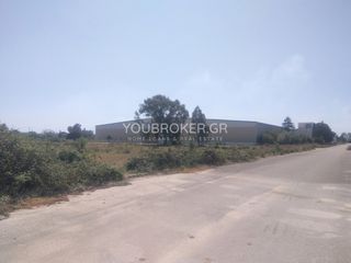 Βιομηχανικός χώρος 7.505 τ.μ. για πώληση, Ν. Πρέβεζας, Πρέβεζα-thumb-4