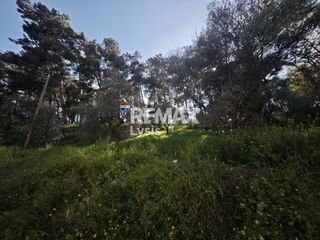 Διαμέρισμα 103 τ.μ. προς πώληση, Κέντρο Σπάρτης-thumb-24