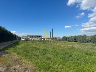Αγροτεμάχια 11.205 τ.μ. για πώληση