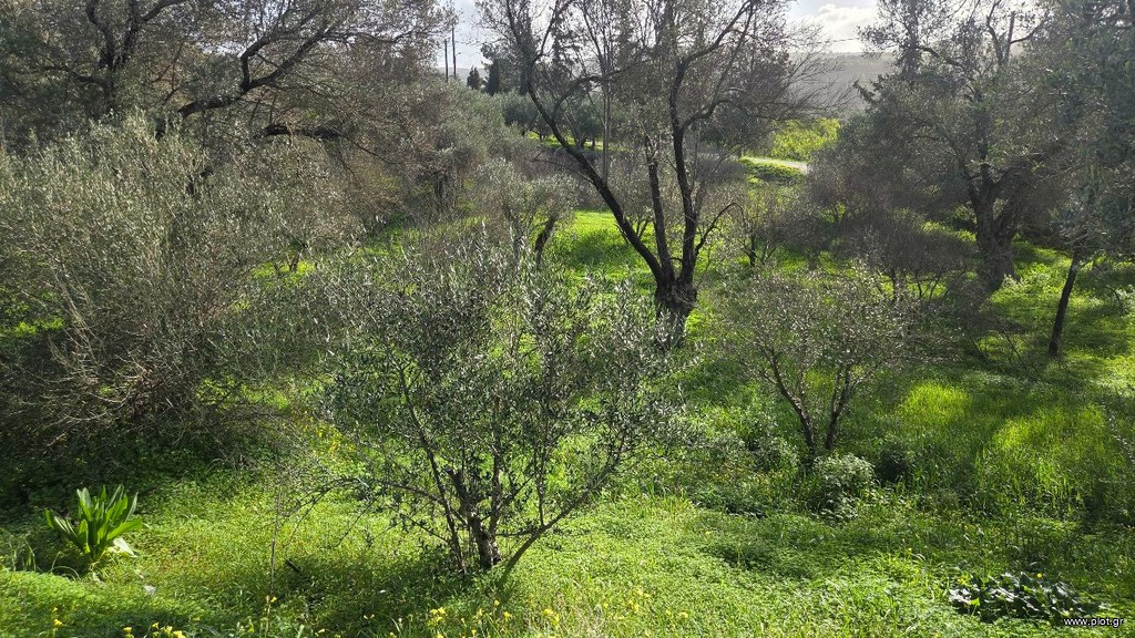 Οικόπεδο 1.654 τ.μ. πρός πώληση, Ν. Ηρακλείου, Τυμπάκι