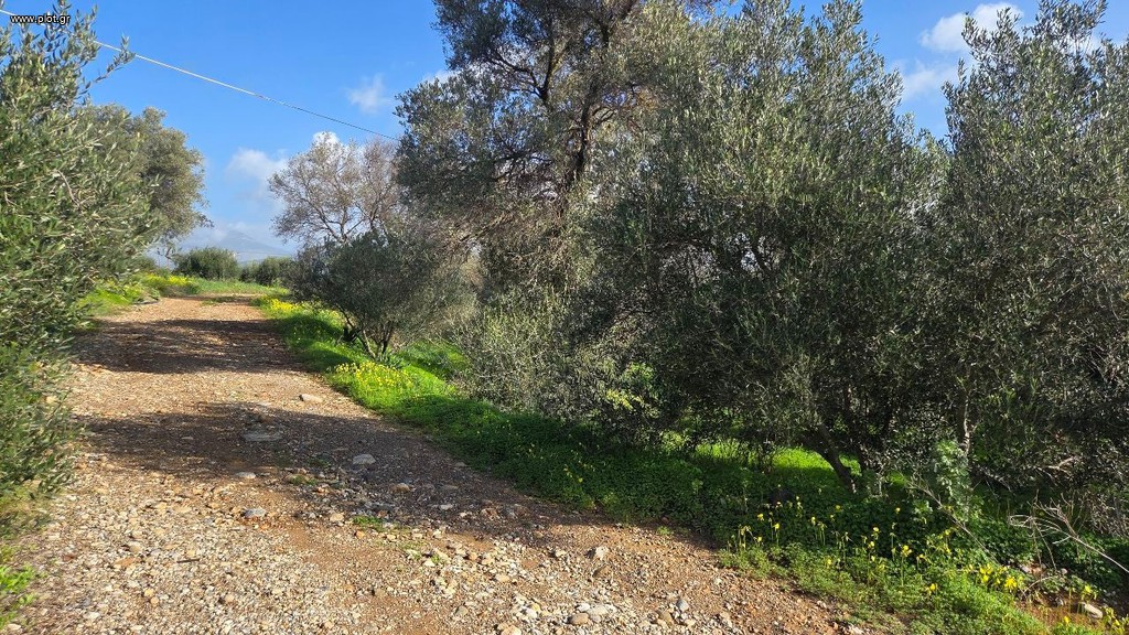 Οικόπεδο 1.654 τ.μ. πρός πώληση, Ν. Ηρακλείου, Τυμπάκι