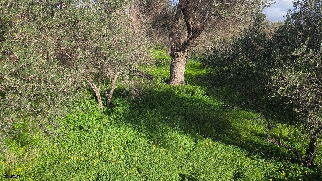 Οικόπεδο 1.654 τ.μ. πρός πώληση, Ν. Ηρακλείου, Τυμπάκι