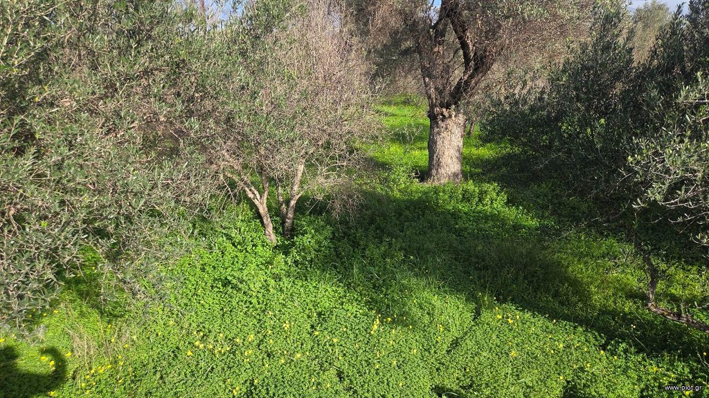 Οικόπεδο 1.654 τ.μ. πρός πώληση, Ν. Ηρακλείου, Τυμπάκι