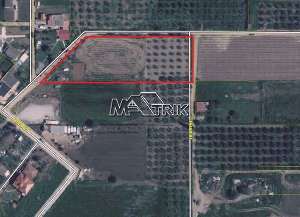 Land plot 2.800 sqm for sale, Chalkidiki, Kallikrateia