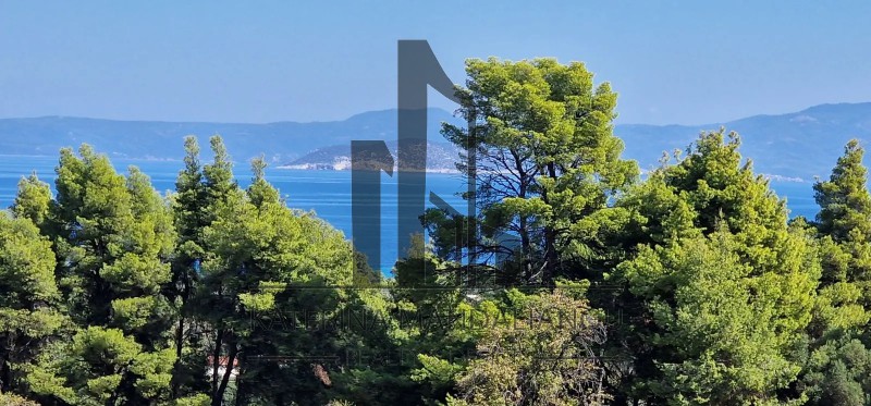 Αγροτεμάχια 4.218 τ.μ. πρός πώληση, Χαλκιδική, Κασσάνδρα
