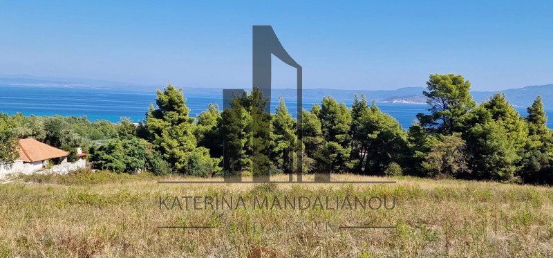 Αγροτεμάχια 4.218 τ.μ. πρός πώληση, Χαλκιδική, Κασσάνδρα