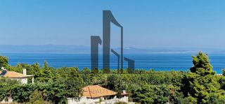Αγροτεμάχια 4.218 τ.μ. για πώληση
