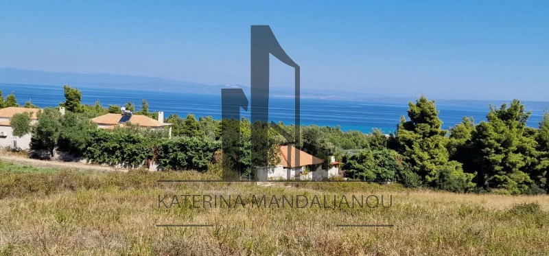 Αγροτεμάχια 4.218 τ.μ. πρός πώληση, Χαλκιδική, Κασσάνδρα