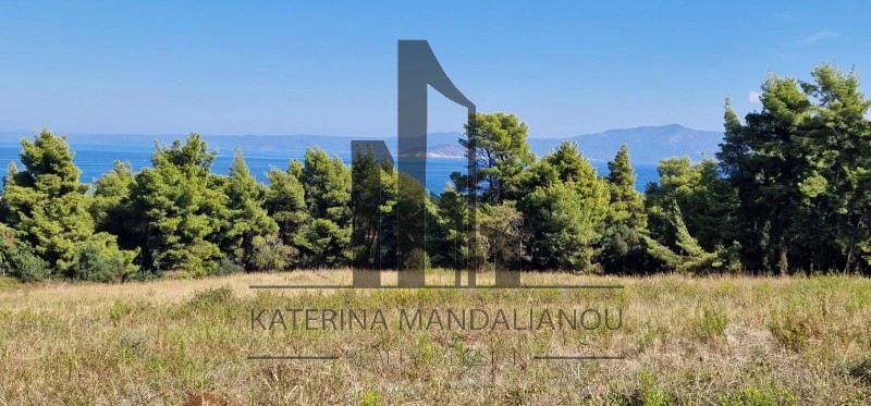 Αγροτεμάχια 4.218 τ.μ. πρός πώληση, Χαλκιδική, Κασσάνδρα