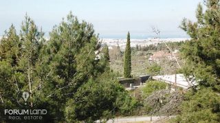Αγροτεμάχια 2.400 τ.μ. για πώληση