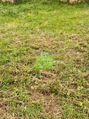 Οικόπεδο 540 τ.μ. για πώληση, Ν. Χανίων, Ακρωτήρι-thumb-17