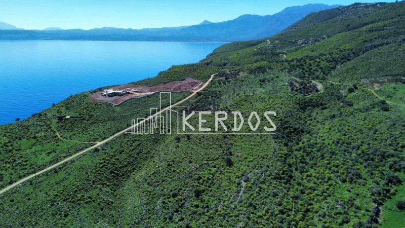 Οικόπεδο 13.400 τ.μ. προς πώληση, Κεφαλάς Βάμου