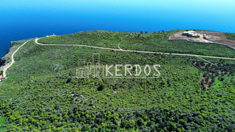 Οικόπεδο 13.400 τ.μ. προς πώληση, Κεφαλάς Βάμου