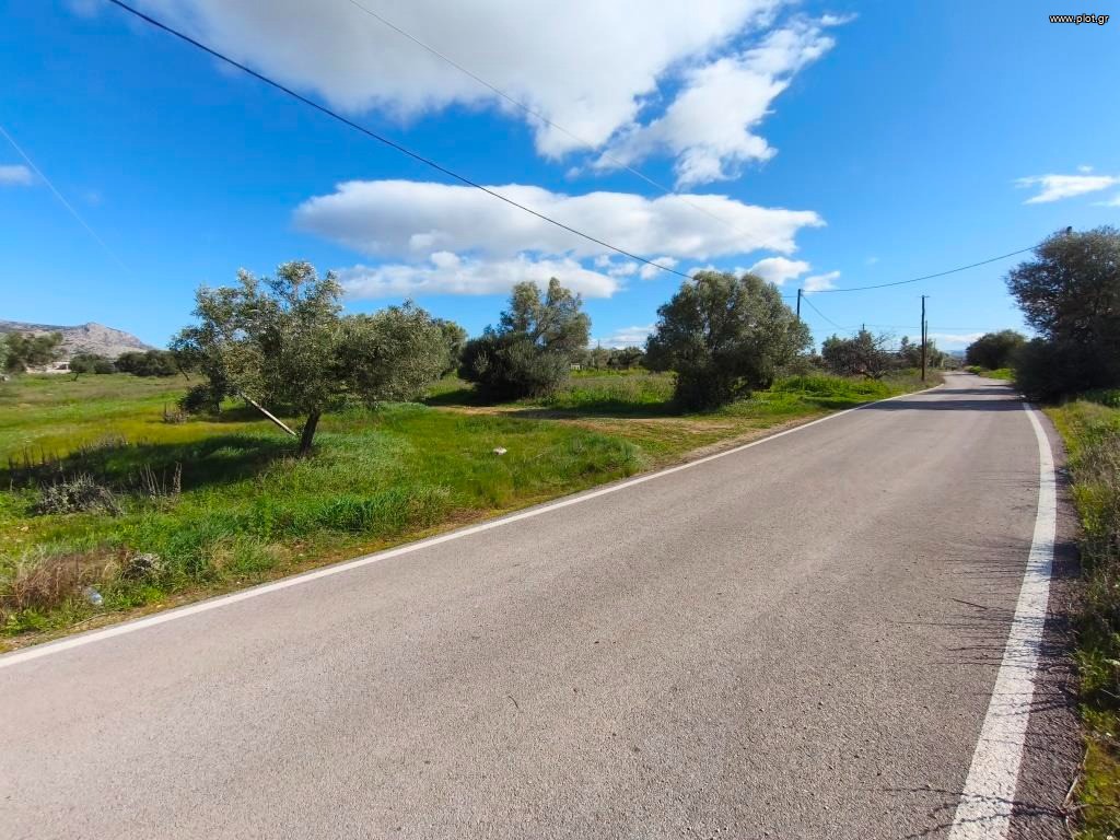 Αγροτεμάχια 14.826 τ.μ. προς πώληση, Πάχη