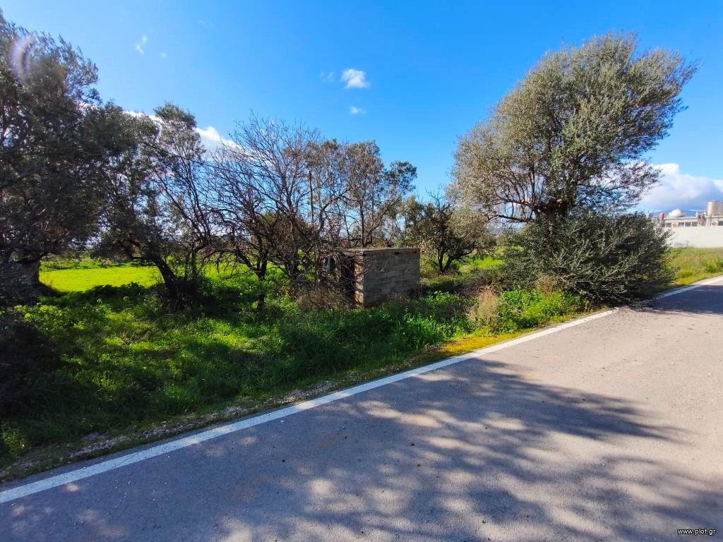 Αγροτεμάχια 14.826 τ.μ. προς πώληση, Πάχη