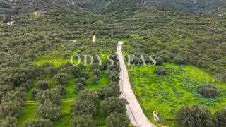 Οικόπεδο 386 τ.μ. για πώληση, Ν. Λασιθίου, Άγιος Νικόλαος-thumb-5
