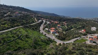 Αγροτεμάχια 1.165 τ.μ. προς πώληση, Πηγή Λεύκτρου-thumb-8