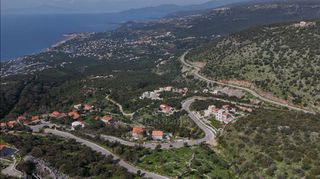 Αγροτεμάχια 1.165 τ.μ. προς πώληση, Πηγή Λεύκτρου-thumb-12