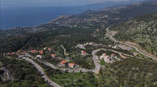 Αγροτεμάχια 1.165 τ.μ. προς πώληση, Πηγή Λεύκτρου-thumb-4