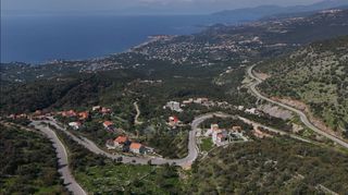 Αγροτεμάχια 1.165 τ.μ. προς πώληση, Πηγή Λεύκτρου-thumb-7