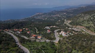 Αγροτεμάχια 1.165 τ.μ. προς πώληση, Πηγή Λεύκτρου-thumb-14
