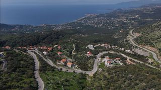 Αγροτεμάχια 1.165 τ.μ. για πώληση