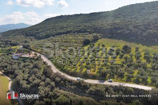 Αγροτεμάχια 8.386 τ.μ. για πώληση