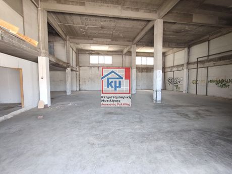 Επιχειρηματικό κτίριο 800 τ.μ. πρός ενοικίαση