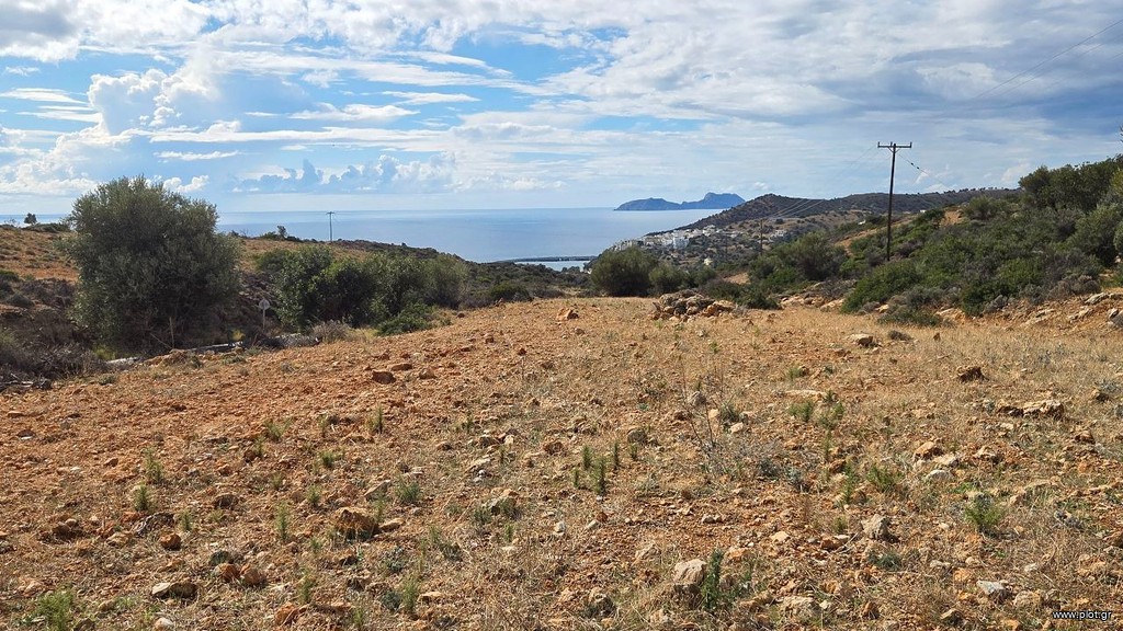 Οικόπεδο 7.000 τ.μ. προς πώληση, Αγία Γαλήνη
