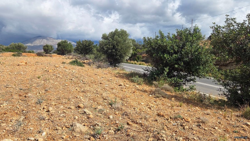 Οικόπεδο 7.000 τ.μ. προς πώληση, Αγία Γαλήνη