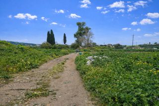 Οικόπεδο 5.500 τ.μ. για ενοικίαση, Ν. Ρεθύμνου, Ρέθυμνο-thumb-6