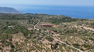 Αγροτεμάχια 2.838 τ.μ. για πώληση