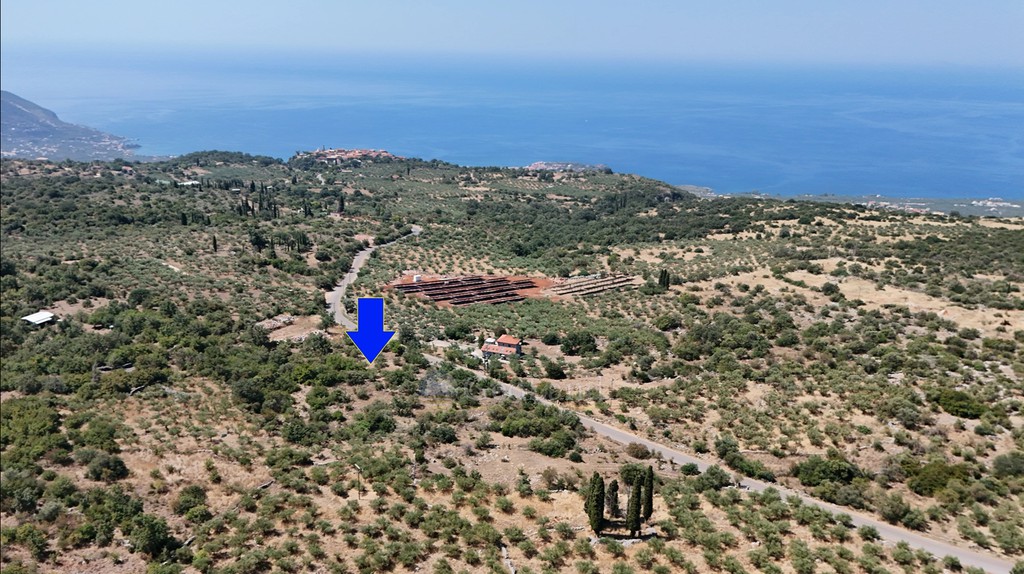 Αγροτεμάχια 3.854 τ.μ. προς πώληση, Πύργος Λεύκτρου