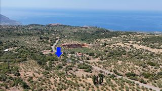 Αγροτεμάχια 3.854 τ.μ. προς πώληση, Πύργος Λεύκτρου-thumb-2