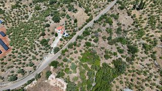 Αγροτεμάχια 3.854 τ.μ. προς πώληση, Πύργος Λεύκτρου-thumb-20