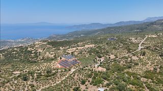 Αγροτεμάχια 3.854 τ.μ. προς πώληση, Πύργος Λεύκτρου-thumb-16