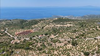 Αγροτεμάχια 3.854 τ.μ. προς πώληση, Πύργος Λεύκτρου-thumb-7