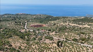 Αγροτεμάχια 3.854 τ.μ. προς πώληση, Πύργος Λεύκτρου-thumb-15